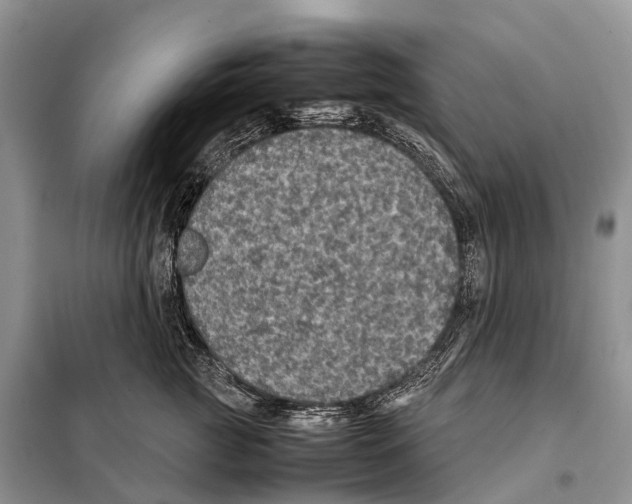 X0000097920761200804111139