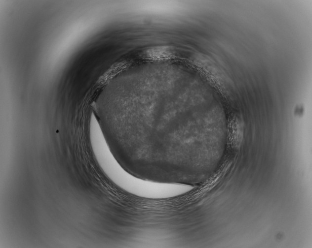 X0000097920762200804111139