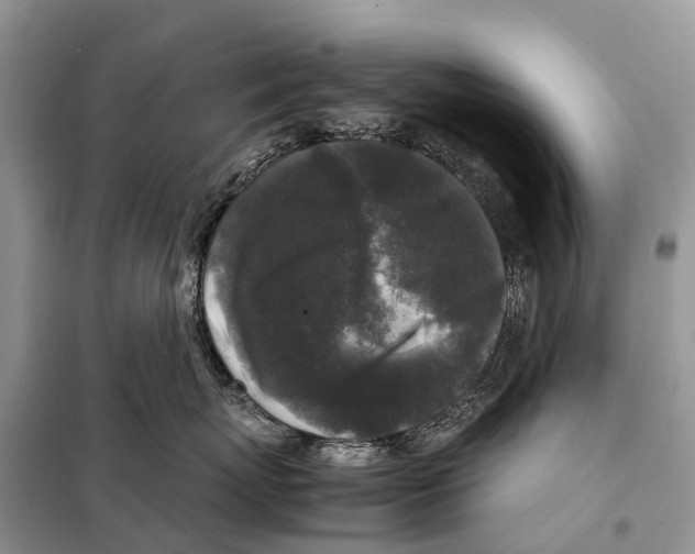 X0000097920767200804111139