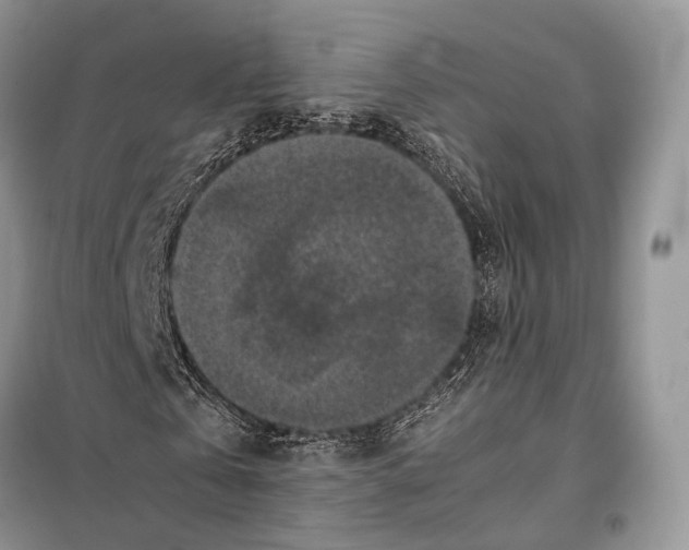 X0000097920769200804111139