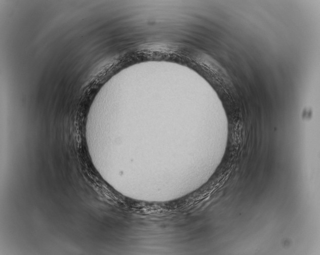 X0000097920774200804111139