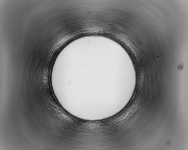 X0000097920778200804111139