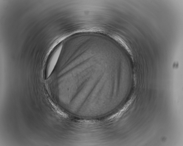 X0000097920781200804111138