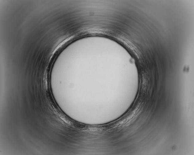 X0000097920782200804111138