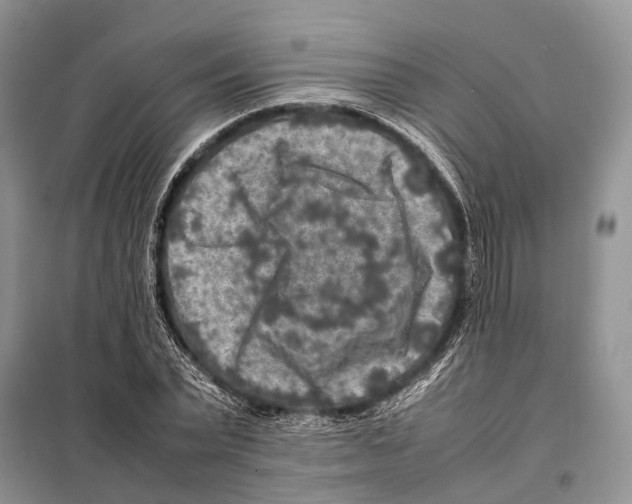 X0000097920783200804111138