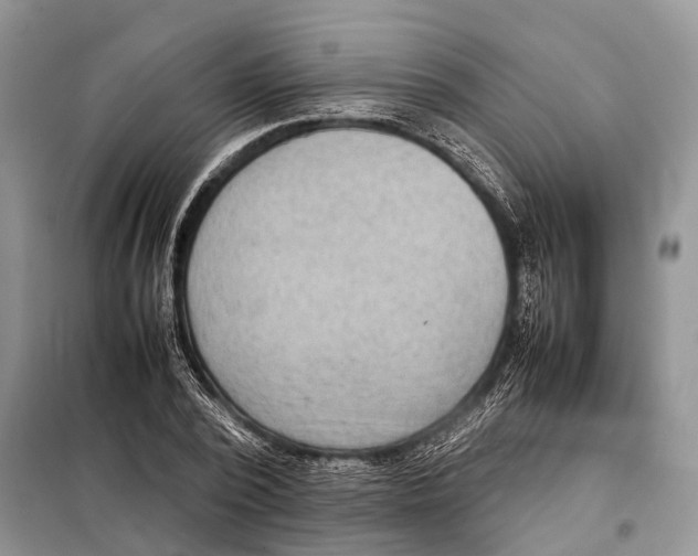 X0000097920784200804111138