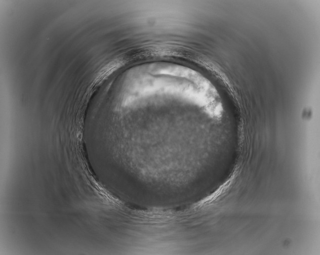 X0000097920785200804111138