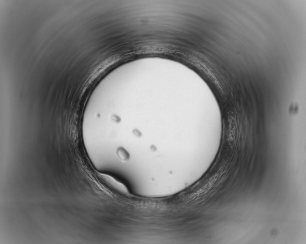 X0000097920786200804111138