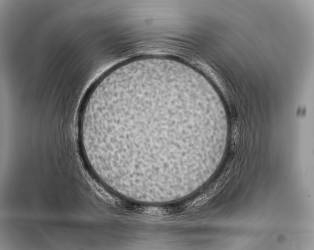 X0000097920787200804111138