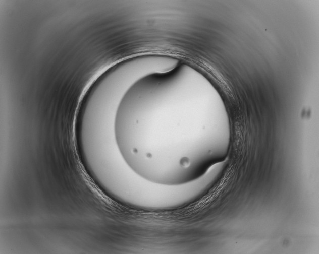 X0000097920788200804111138