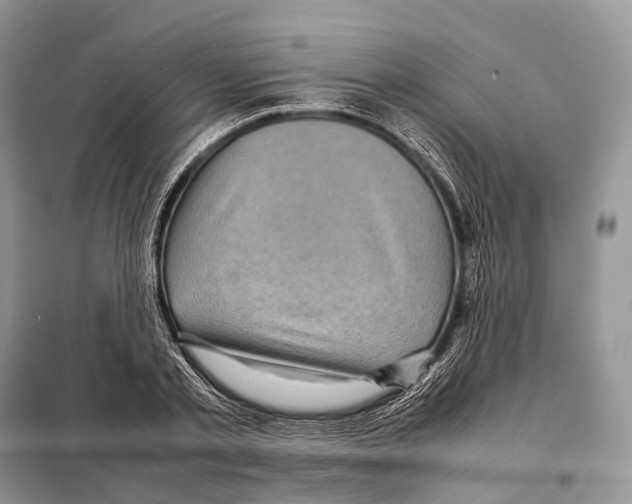 X0000097920789200804111138