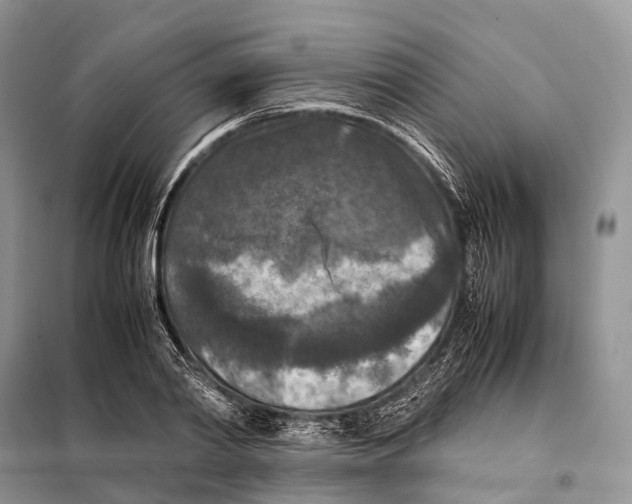 X0000097920790200804111138