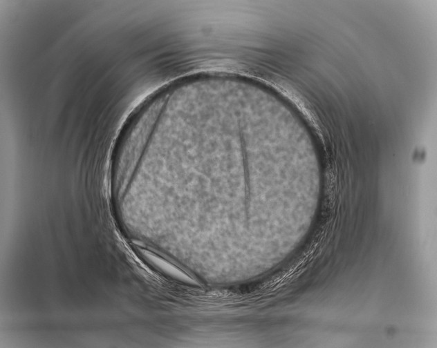 X0000097920791200804111138