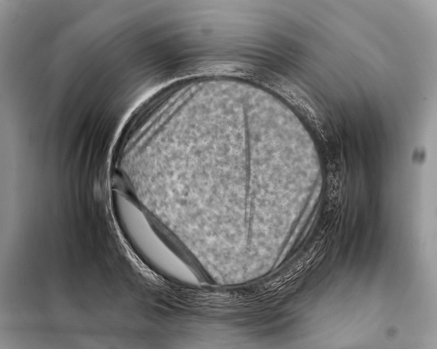 X0000097920792200804111138