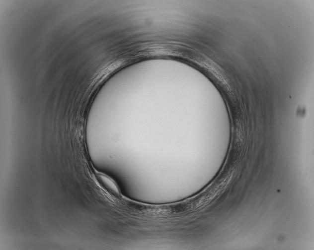 X0000097920793200804111138