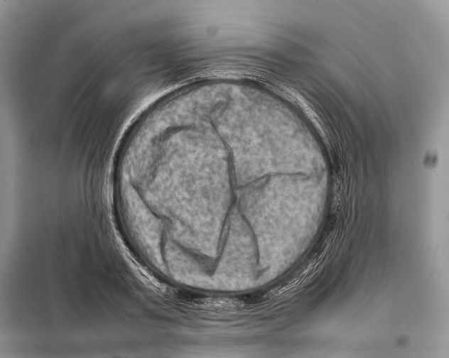 X0000097920795200804111138