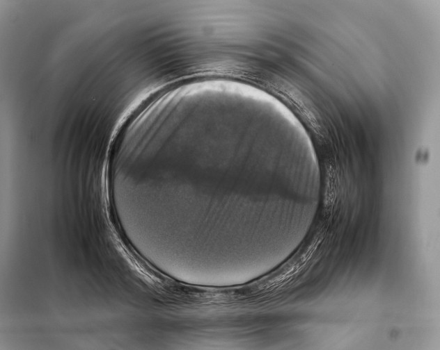 X0000097920796200804111138