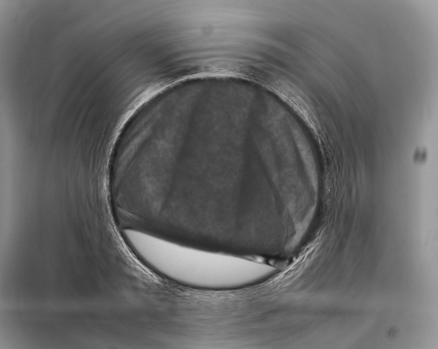 X0000097920797200804111138