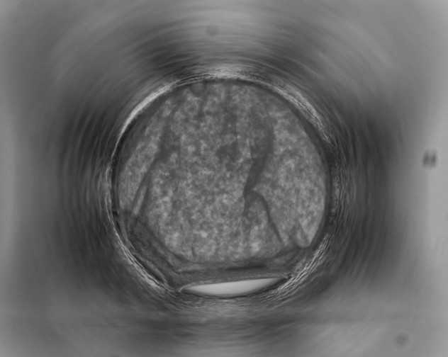 X0000097920798200804111138