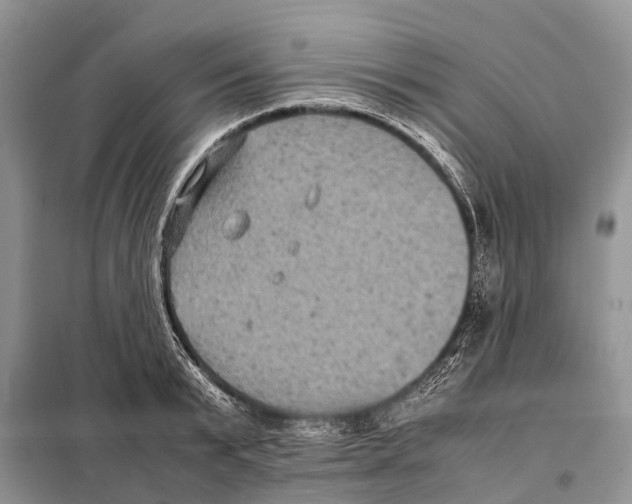 X0000097920799200804111138