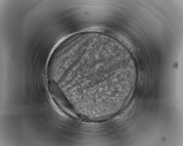 X0000097920800200804111138