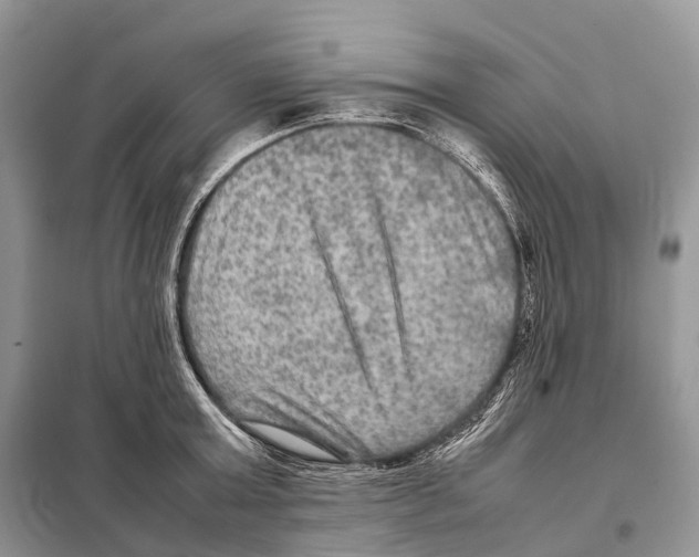 X0000097920803200804111138