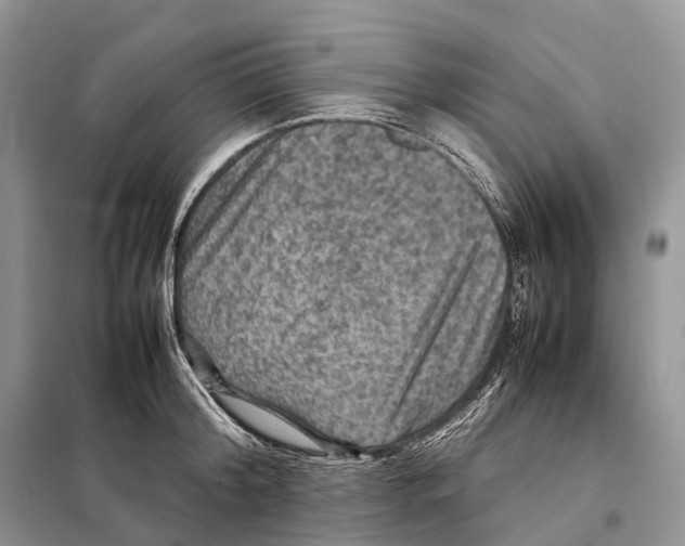 X0000097920804200804111138