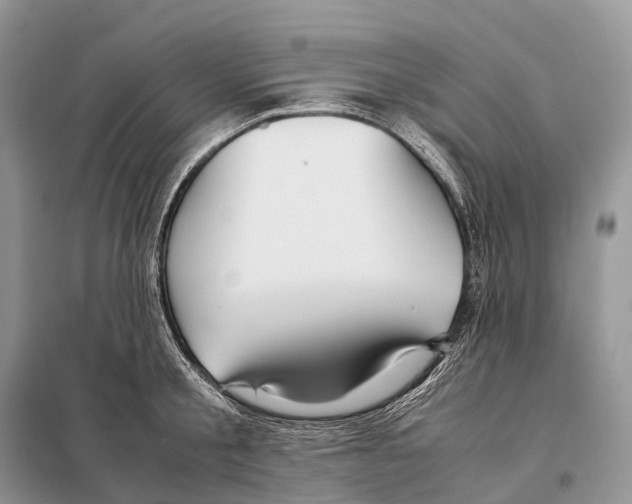 X0000097920805200804111138