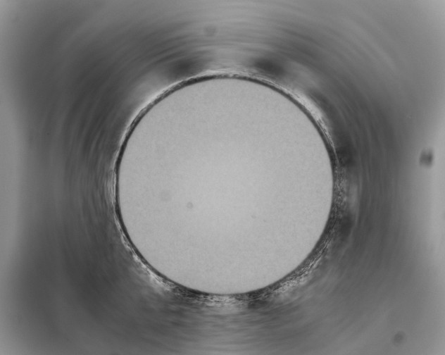 X0000097920807200804111138