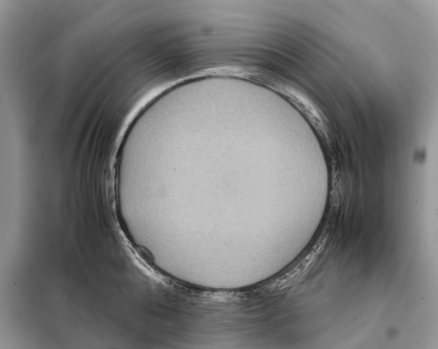 X0000097920808200804111138