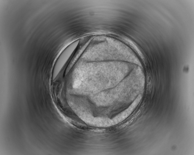 X0000097920810200804111138