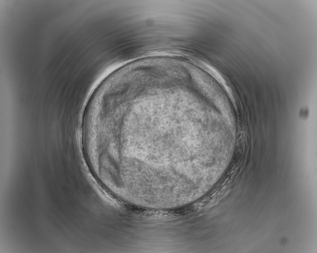 X0000097920811200804111138