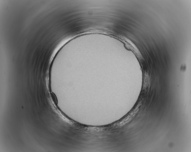 X0000097920812200804111138