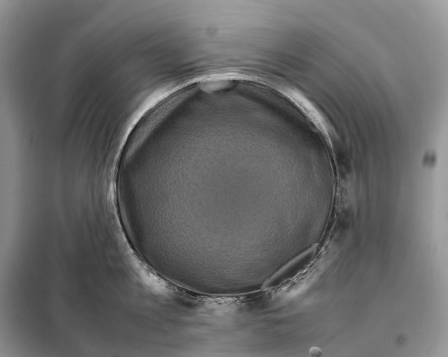 X0000097920813200804111138