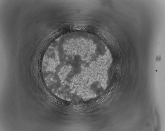 X0000097920817200804111137