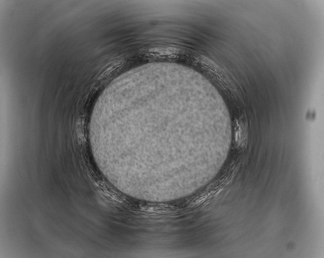 X0000097920819200804111137