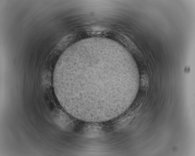 X0000097920820200804111137