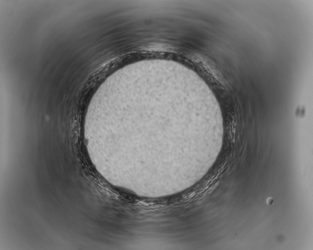 X0000097920821200804111137