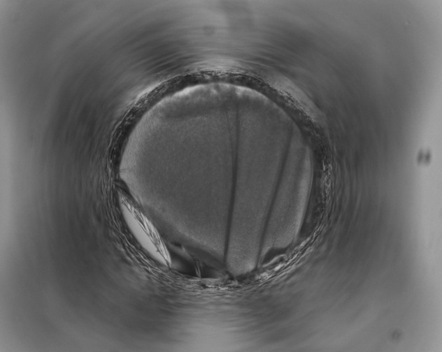 X0000097920822200804111137