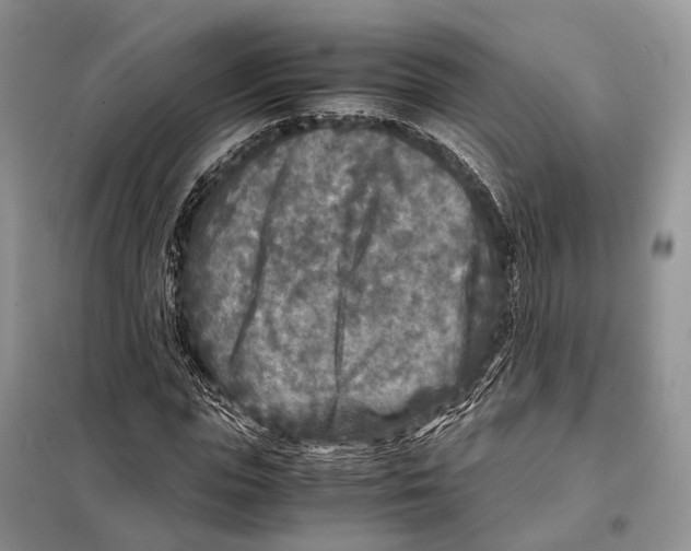 X0000097920823200804111137