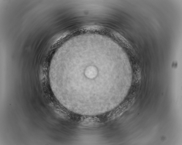 X0000097920824200804111137