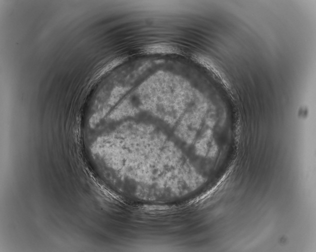 X0000097920825200804111137