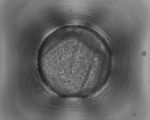 X0000097920826200804111137