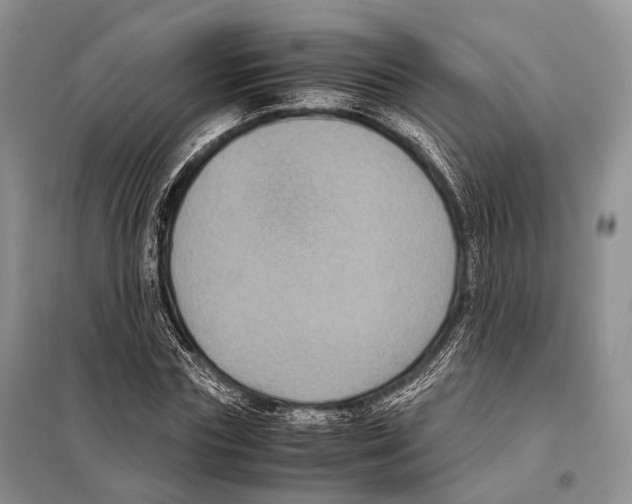 X0000097920827200804111137