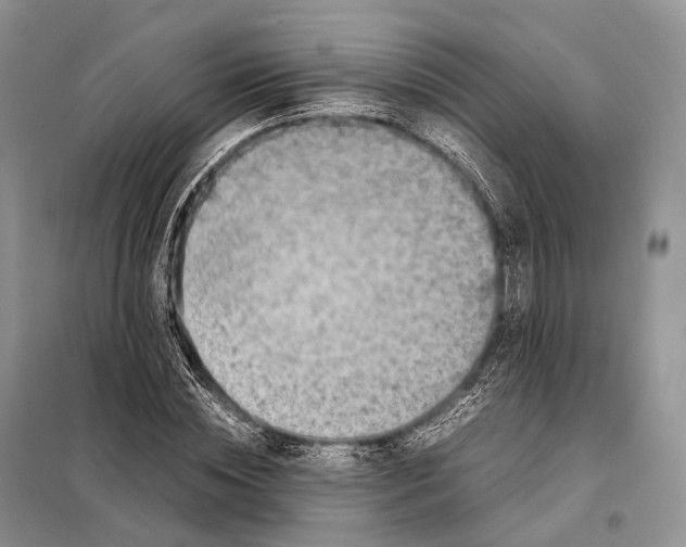 X0000097920828200804111137