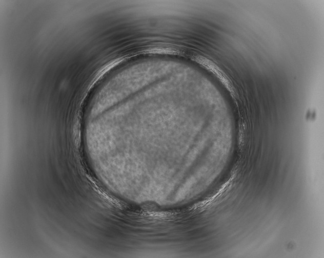 X0000097920829200804111137