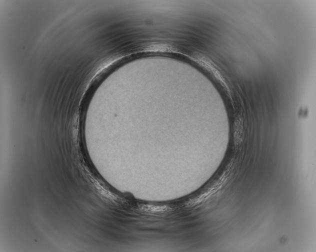 X0000097920831200804111138