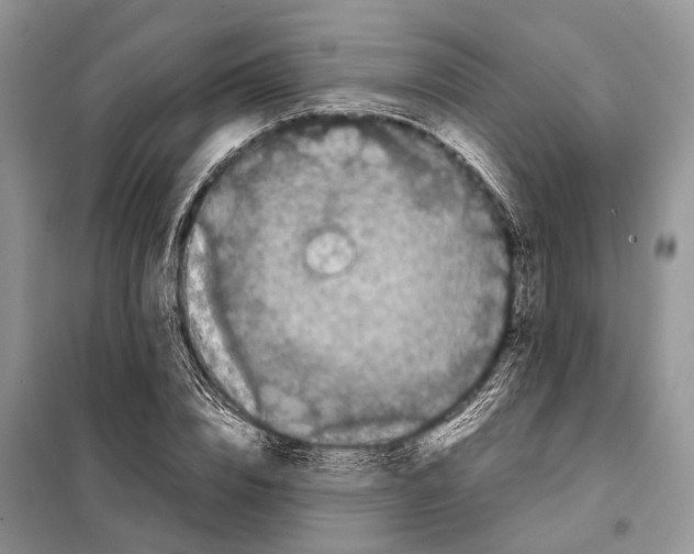 X0000097920832200804111138