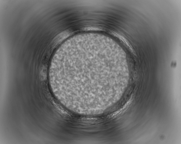 X0000097920833200804111138