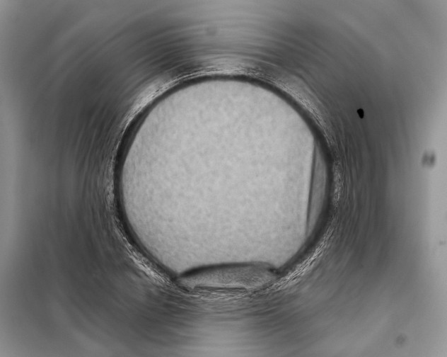 X0000097920834200804111138